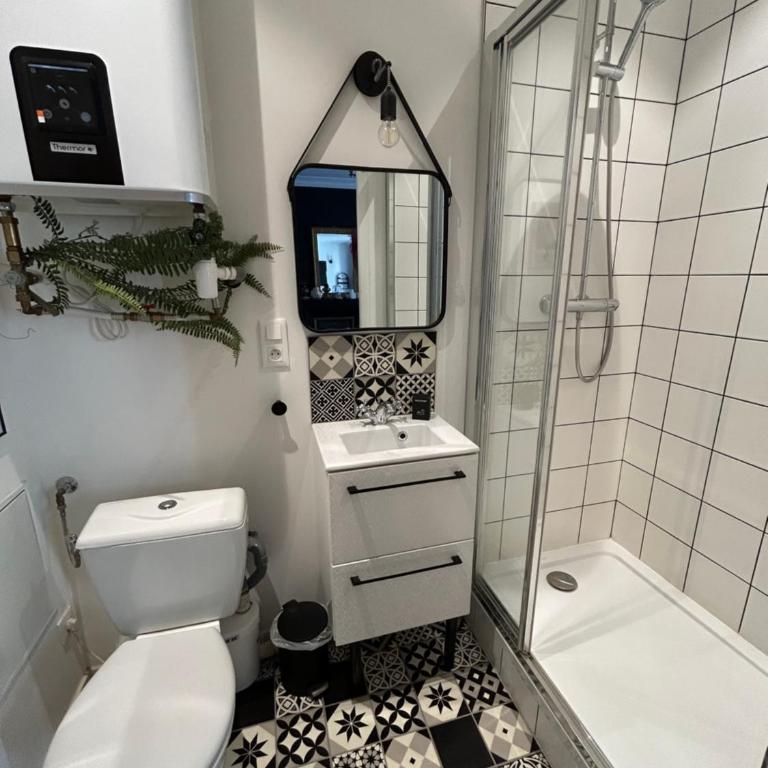 BELLE REINE - 3 APPARTEMENTS EN COEUR DE CENTRE-VILLE - Estudio Deluxe - 10