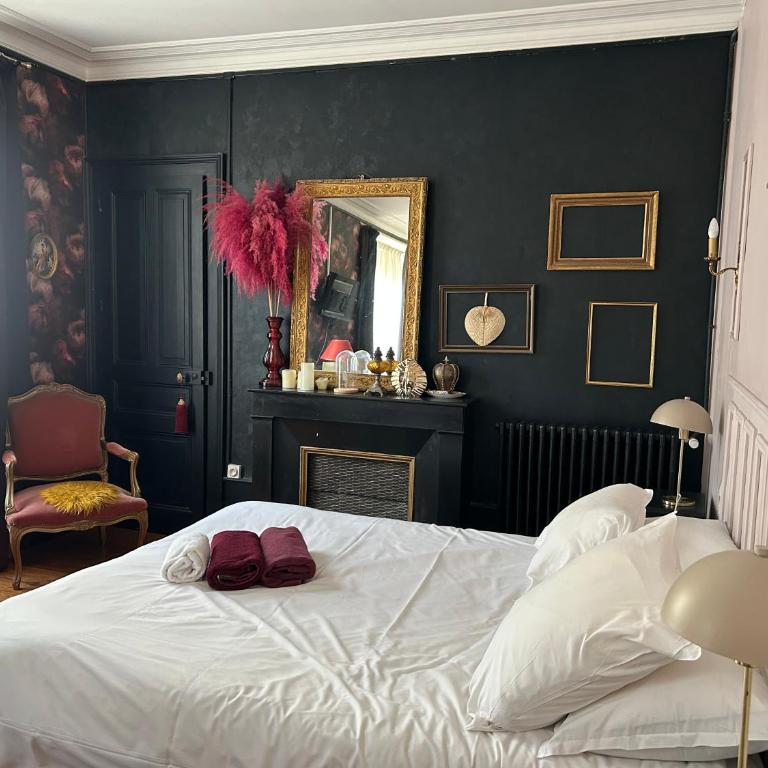 BELLE REINE - 3 APPARTEMENTS EN COEUR DE CENTRE-VILLE - Estudio Deluxe - 13