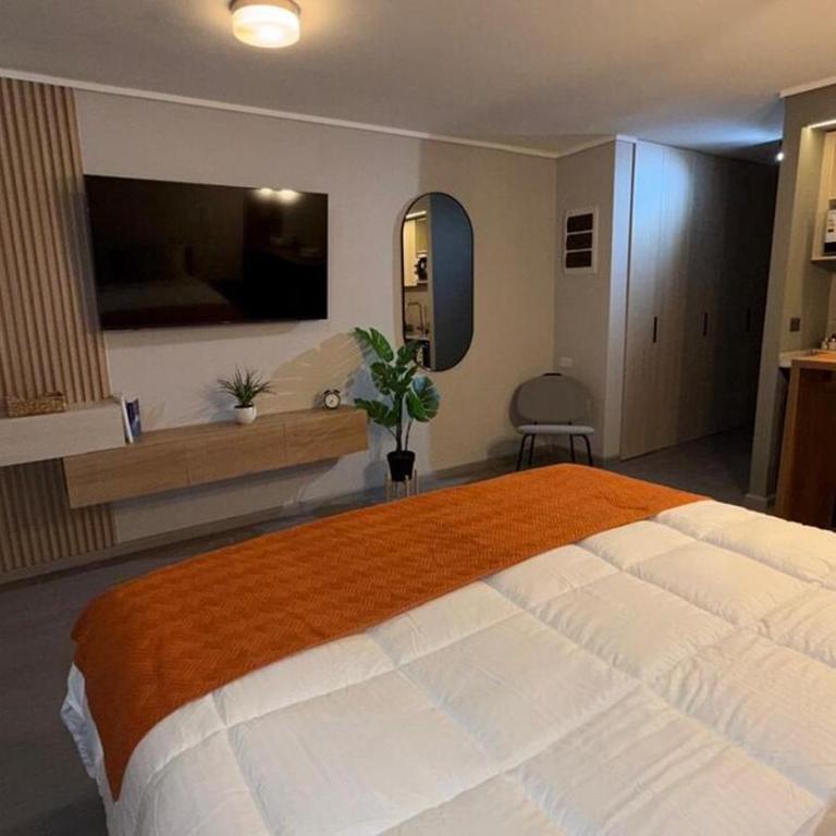 Moderno boutique estudio Movistar Arena - One-Bedroom Apartment - 16