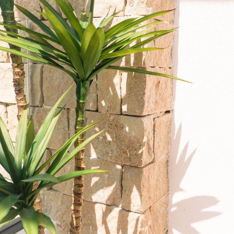 Penthouse with rooftop Terrace, pool & Jacuzzi - Apartamento de 2 dormitorios - 7