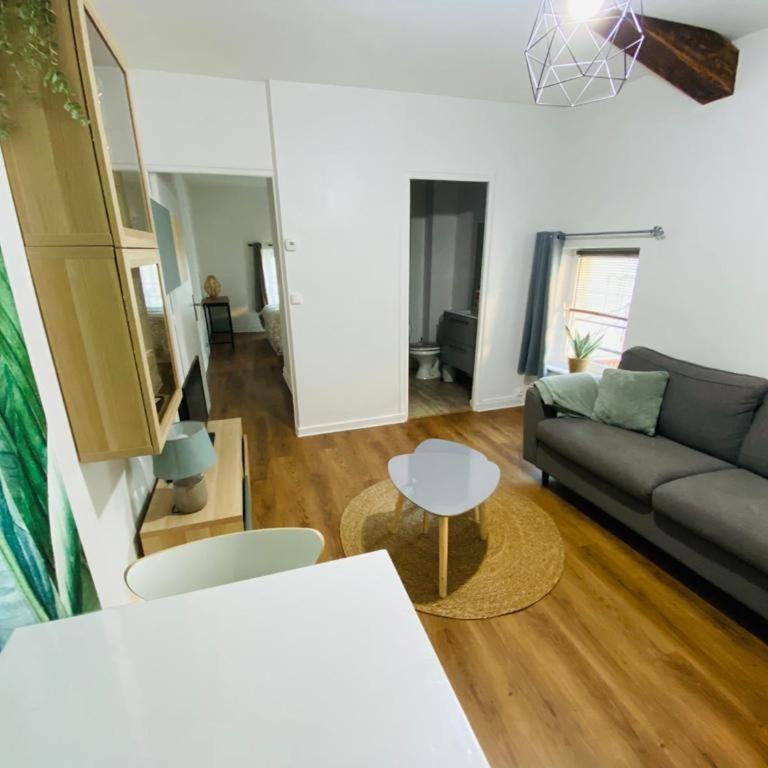 Cozy F2 appartement Le Petit Nicolas - Appartement 1 Chambre - 1