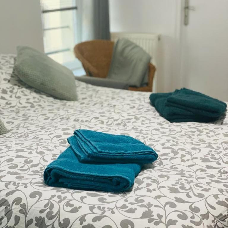 Cozy F2 appartement Le Petit Nicolas - Appartement 1 Chambre - 9