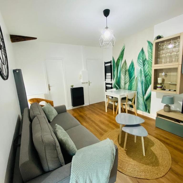 Cozy F2 appartement Le Petit Nicolas - Appartement 1 Chambre - 20