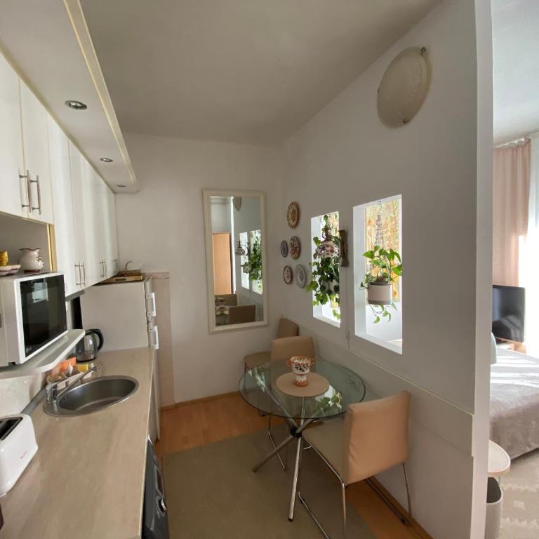 Penthouse Modena - Apartman sa Terasom - 10