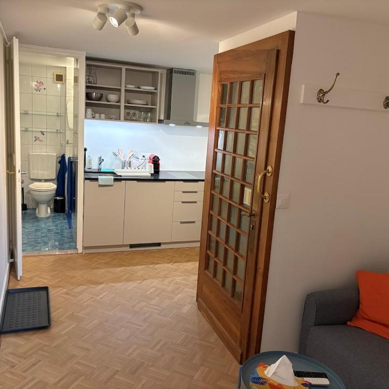 Nice 30 m2 studio, Geneva city center - Appartement 1 Chambre - 2