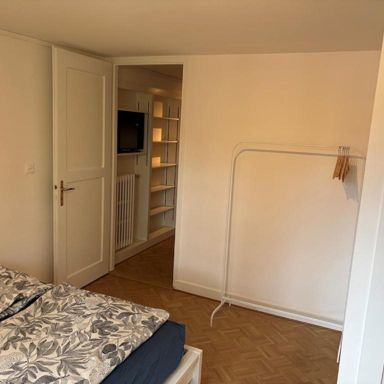 Nice 30 m2 studio, Geneva city center - Appartement 1 Chambre - 5