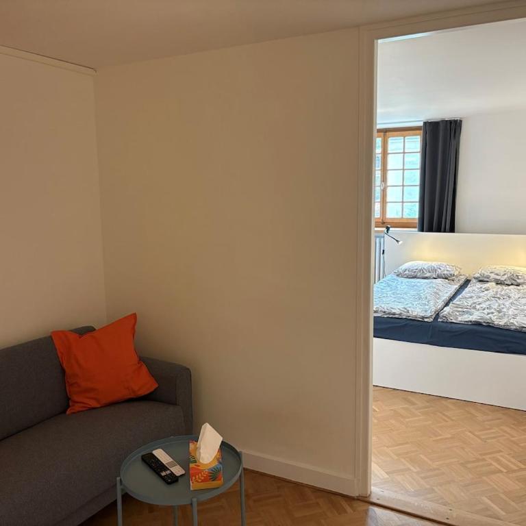 Nice 30 m2 studio, Geneva city center - Appartement 1 Chambre - 7
