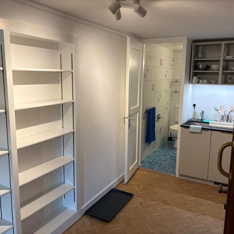 Nice 30 m2 studio, Geneva city center - Appartement 1 Chambre - 8