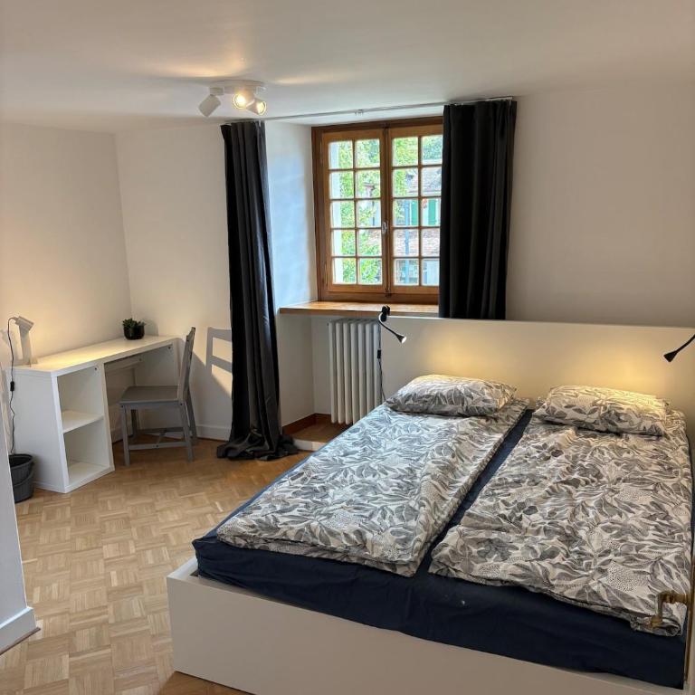 Nice 30 m2 studio, Geneva city center - Appartement 1 Chambre - 1