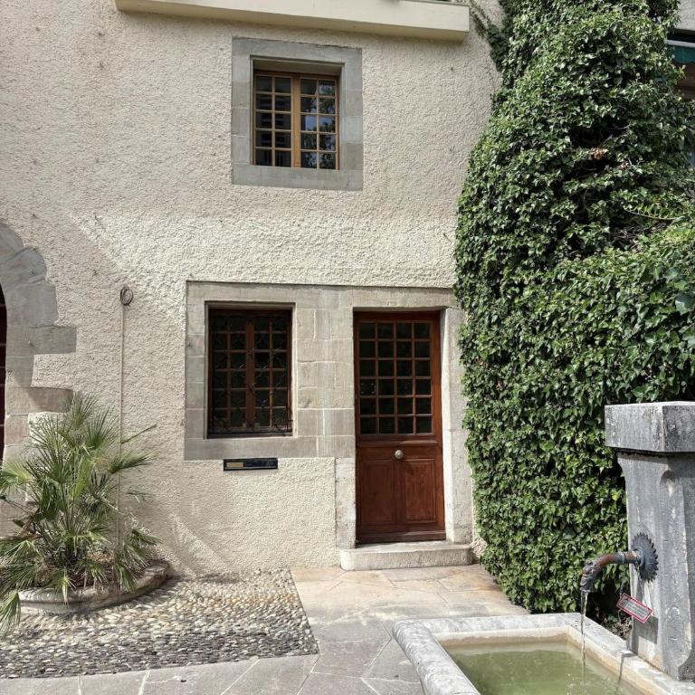 Nice 30 m2 studio, Geneva city center - Appartement 1 Chambre - 9