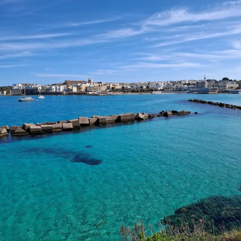 Apartment with terrace - Appartamento con 3 Camere da Letto e Vista Mare - 15