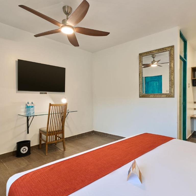 Casa Andina Standard Ica - Superior Double Room - 4