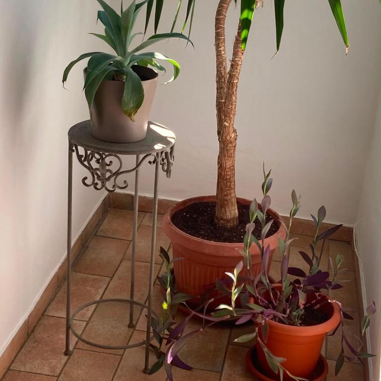 Casablù, comfort e stile - One-Bedroom Apartment - 39