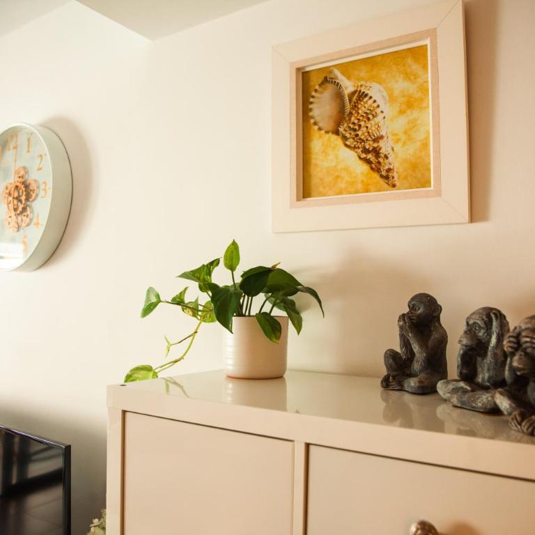 Planta Baja Wellness Sauna Jacuzzi Accesibilidad - Appartement 1 Chambre - 61