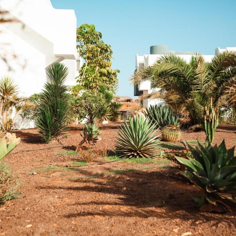 Planta Baja Wellness Sauna Jacuzzi Accesibilidad - Appartement 1 Chambre - 64