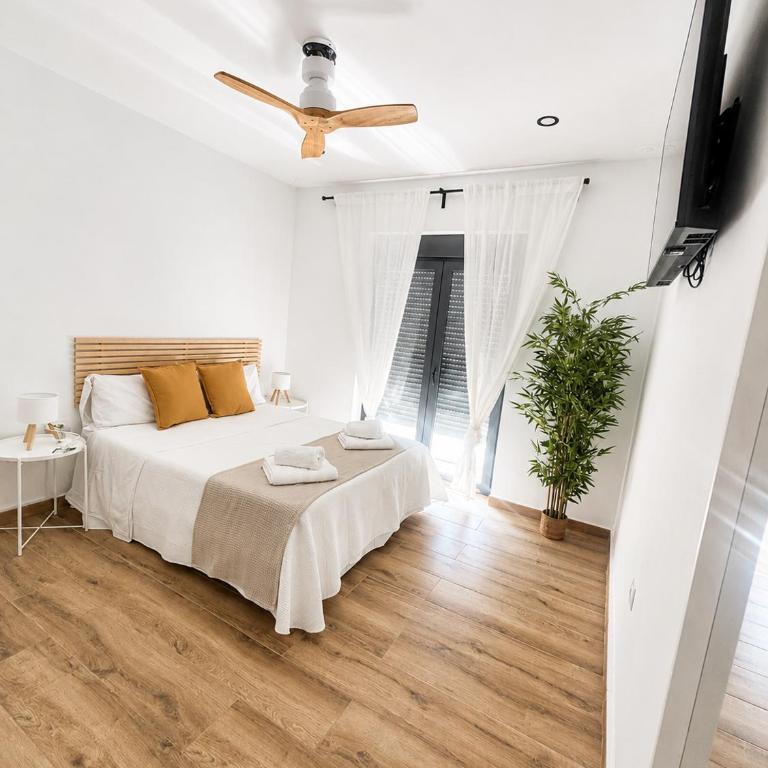 Hostal Palma Hermosa - Camera Matrimoniale/Doppia con Letti Singoli - 3