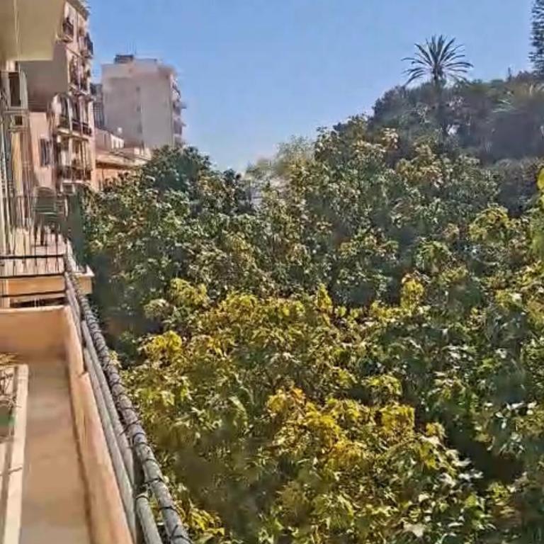 CaMa Guest House - Apartment mit 1 Schlafzimmer - 4