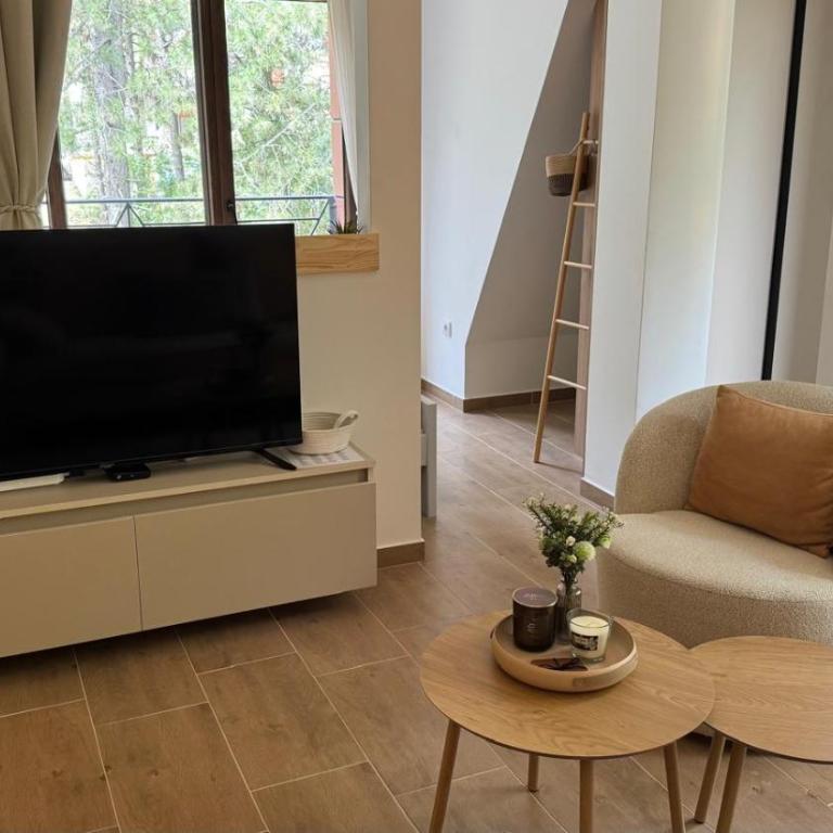 Rosa Bora - Apartman sa 1 Spavaćom Sobom - 5