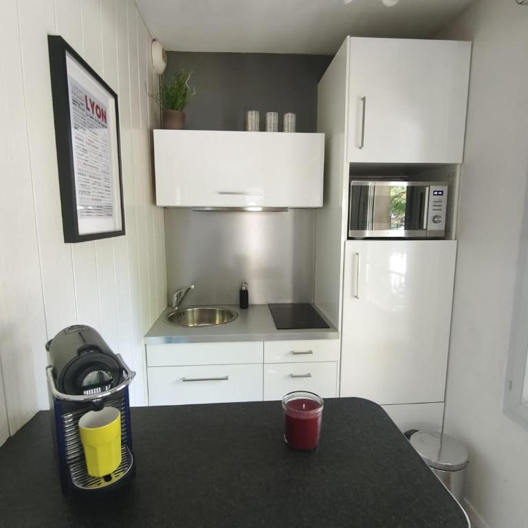 Élégance&Cosy Studio et parking Proximité Gare Part Dieu - Appartement 1 Chambre - 5