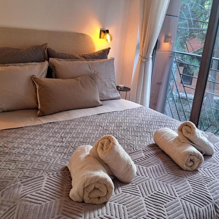 Rosa Bora - Apartman sa 1 Spavaćom Sobom - 24