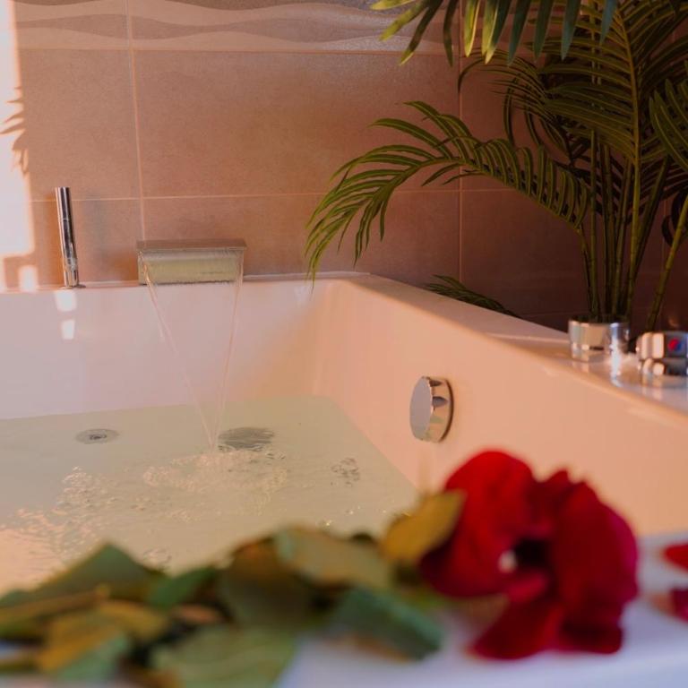 maison balneo ou love room jardin terrasse vue - Apartamento de 1 dormitorio - 3