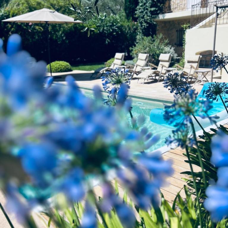 Villa Cabris French Riviera - Villa 1 Chambre - 55