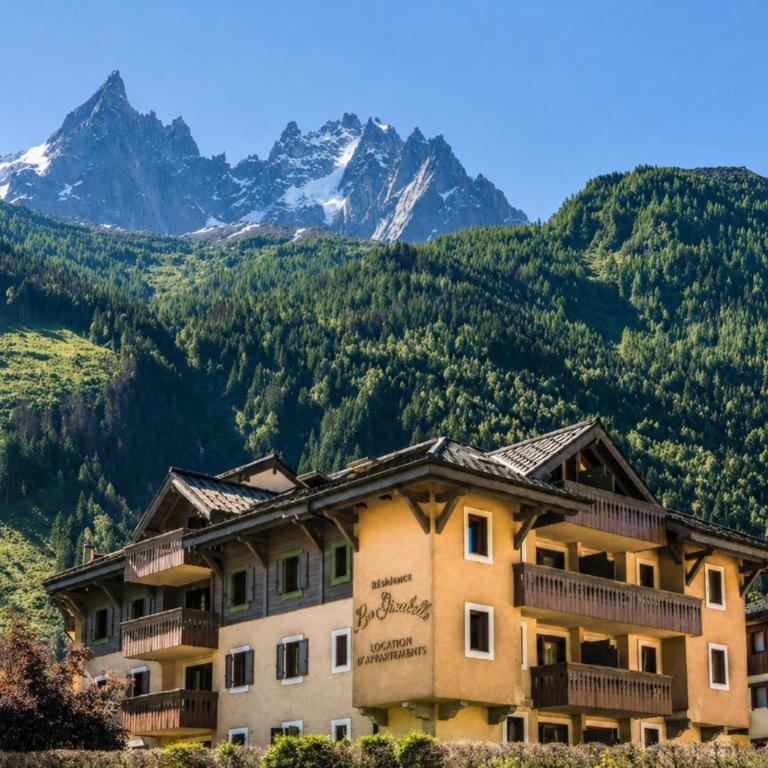 La Ginabelle – vue Mont Blanc avec piscine - Appartement 2 Chambres avec Vue sur la Montagne - 1