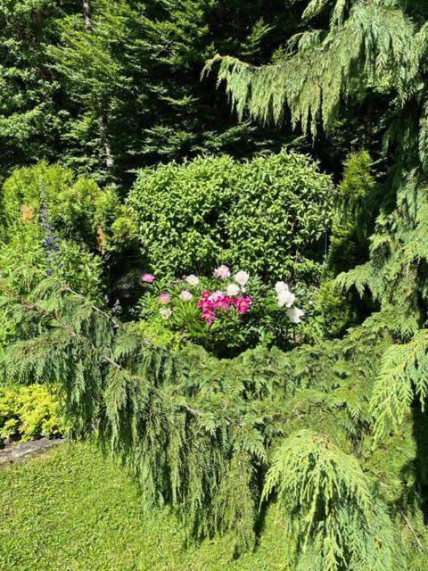 Haus Rosanna - Zimmer in Velden - Doppelzimmer mit Balkon - 1