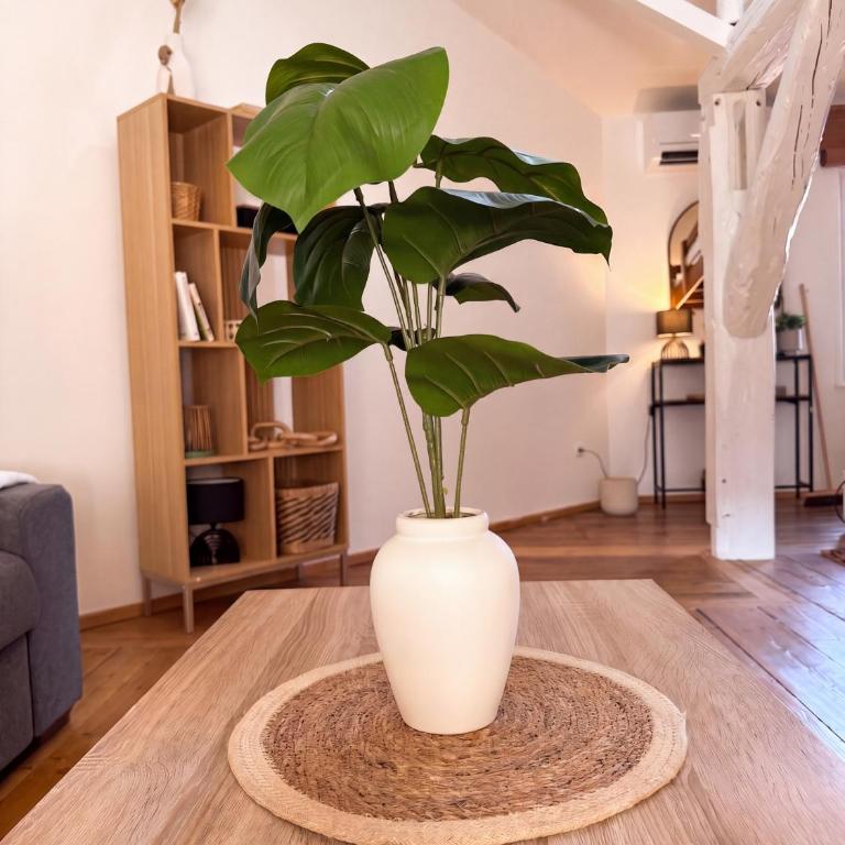 Mezzanine 10 min walk from Place Stanislas - Appartement 1 Chambre - 32