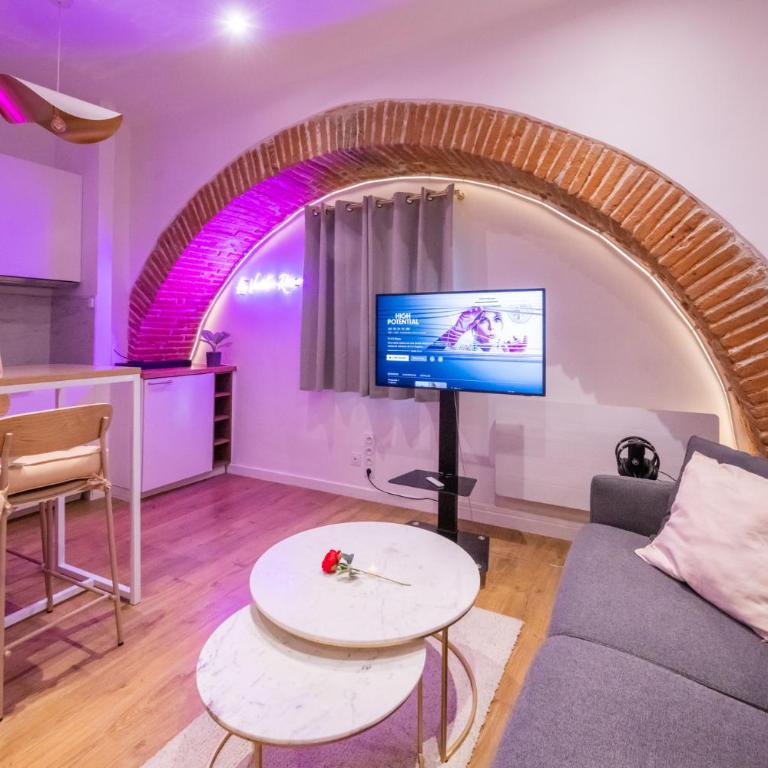 Studio Toulouse Capitole La Voute Rose - Appartement 1 Chambre - 31