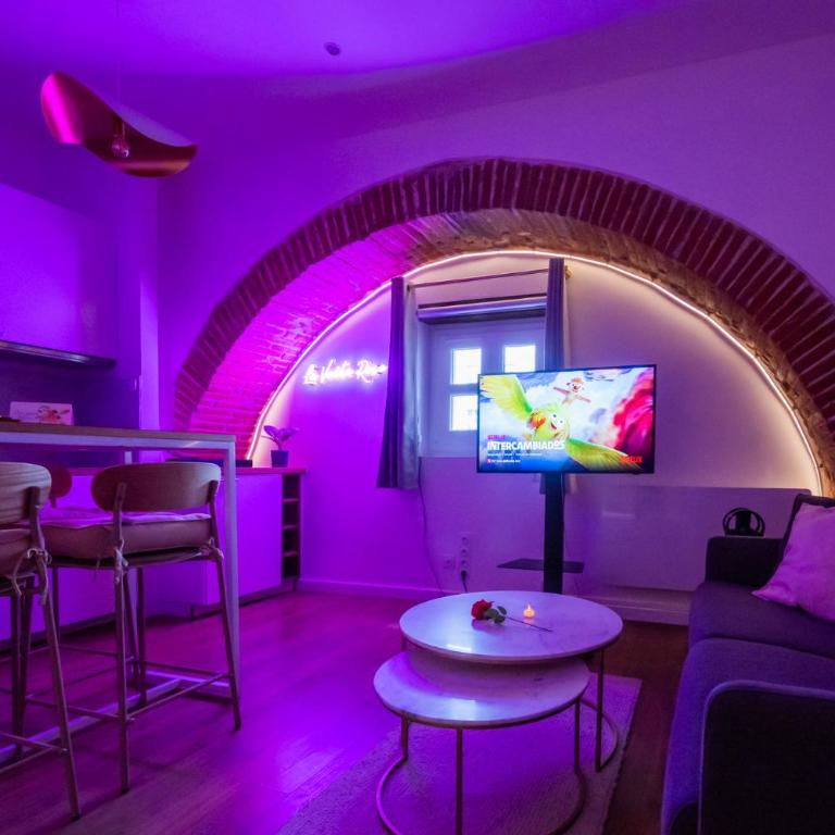 Studio Toulouse Capitole La Voute Rose - Appartement 1 Chambre - 42