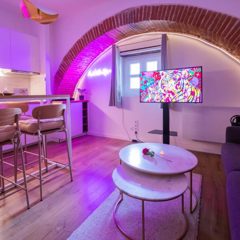 Studio Toulouse Capitole La Voute Rose - Appartement 1 Chambre - 16