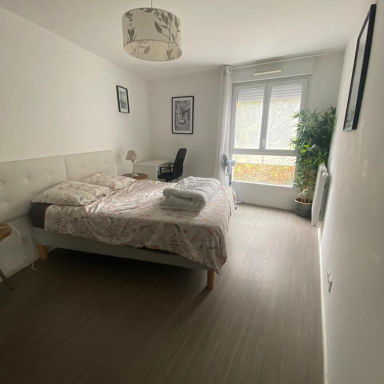 Bel appartement de 65 m2 - bail mobilité - Appartement 2 Chambres - 23