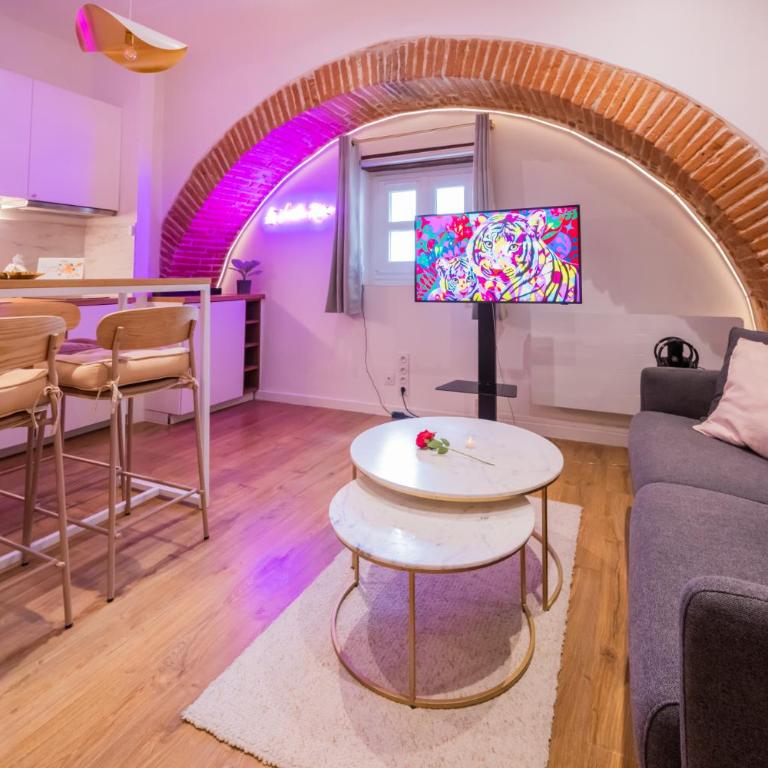 Studio Toulouse Capitole La Voute Rose - Appartement 1 Chambre - 6