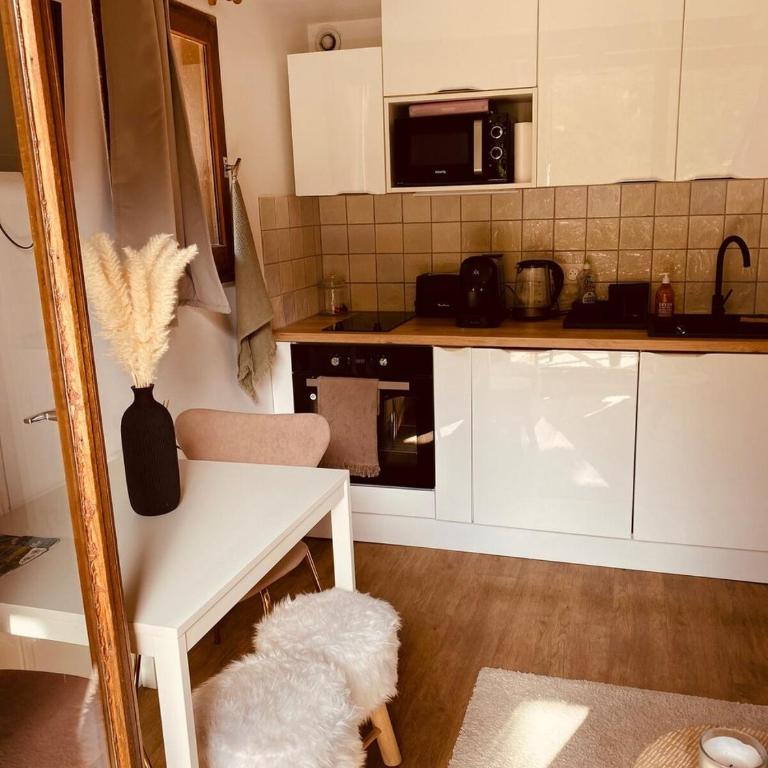 Charmant studio avec coin nuit en mezzanine La Foux d'Allos - Appartement - 7