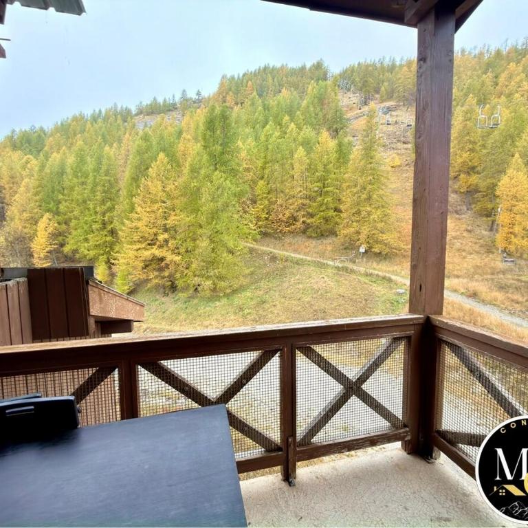 Charmant studio avec coin nuit en mezzanine La Foux d'Allos - Appartement - 20