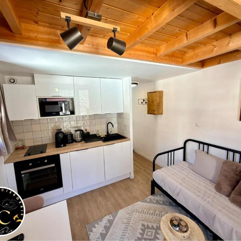 Charmant studio avec coin nuit en mezzanine La Foux d'Allos - Appartement - 41