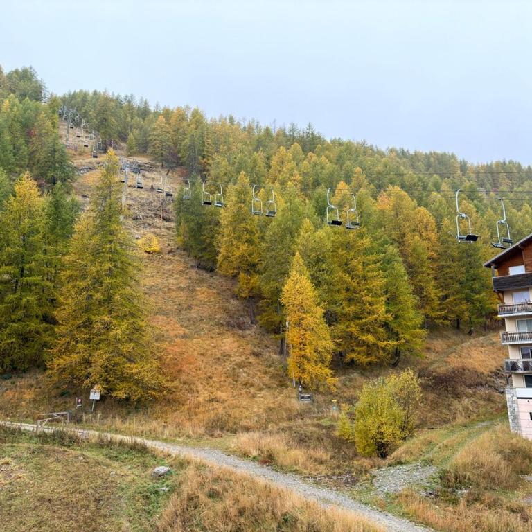 Charmant studio avec coin nuit en mezzanine La Foux d'Allos - Appartement - 37