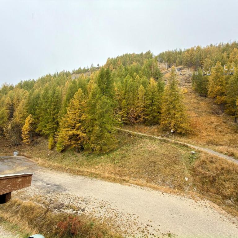 Charmant studio avec coin nuit en mezzanine La Foux d'Allos - Appartement - 35