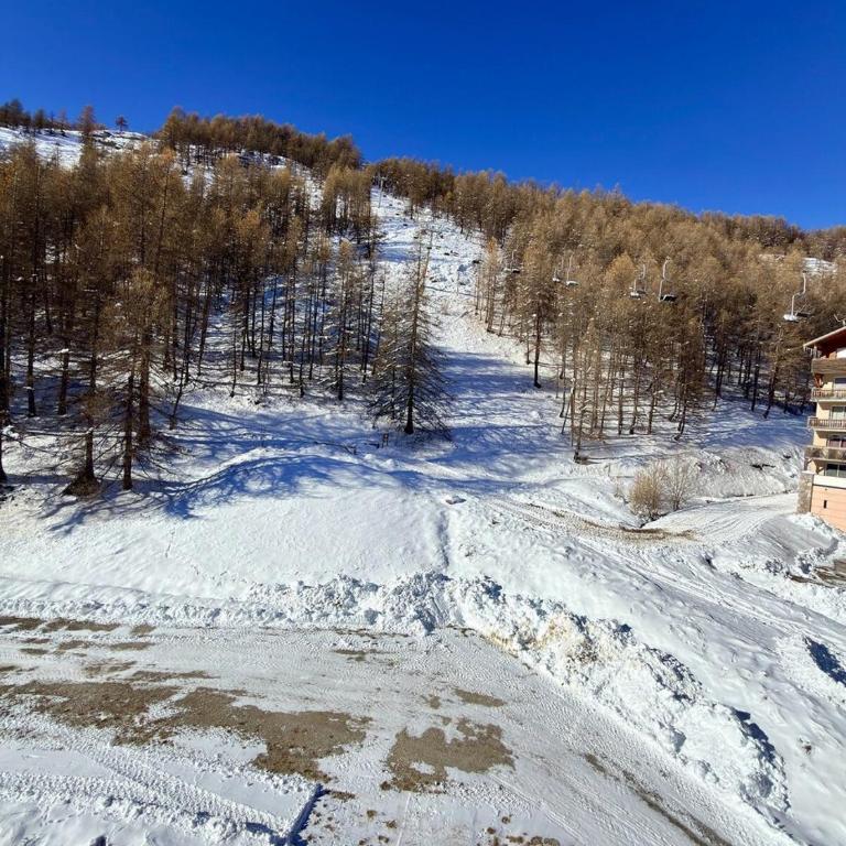 Charmant studio avec coin nuit en mezzanine La Foux d'Allos - Appartement - 48