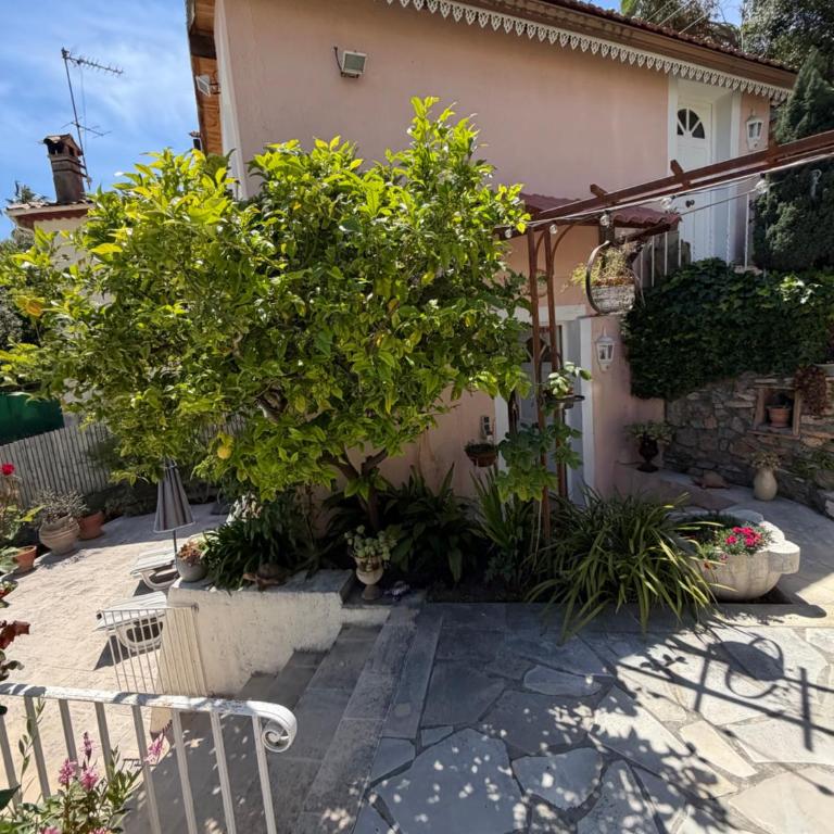 Maison paradis - Maison 1 Chambre - 11