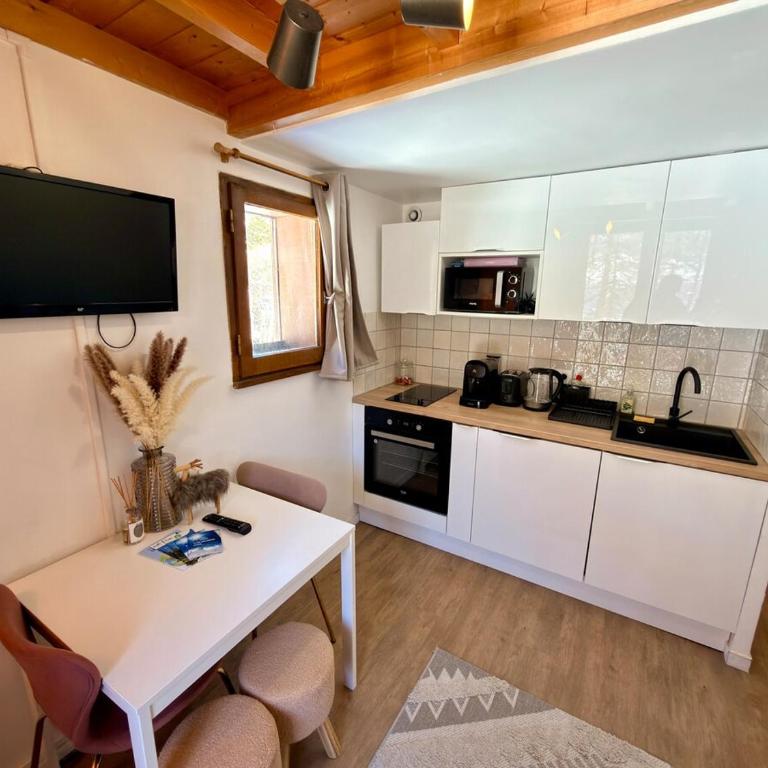 Charmant studio avec coin nuit en mezzanine La Foux d'Allos - Appartement - 25