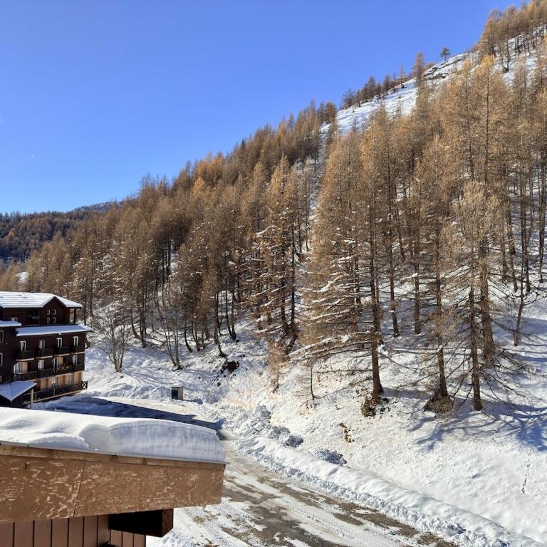 Charmant studio avec coin nuit en mezzanine La Foux d'Allos - Appartement - 52