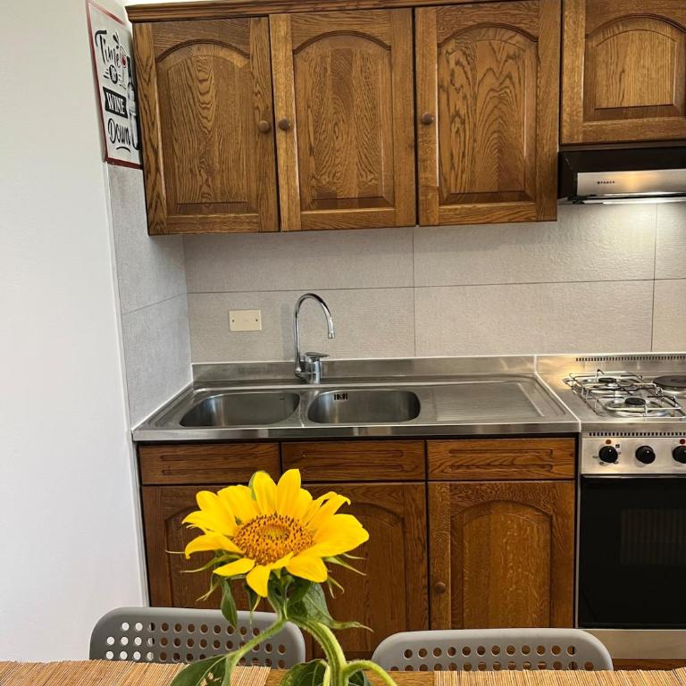 Ca' Dante tra i Ciliegi, ingresso cucina e soggiorno privati - Apartamento de 1 dormitorio - 4