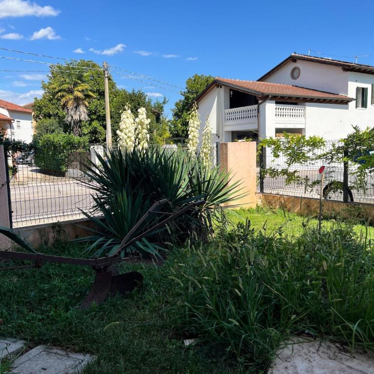 Ca' Dante tra i Ciliegi, ingresso cucina e soggiorno privati - Apartamento de 1 dormitorio - 7