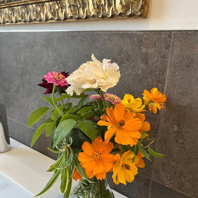 Ca' Dante tra i Ciliegi, ingresso cucina e soggiorno privati - Apartamento de 1 dormitorio - 9