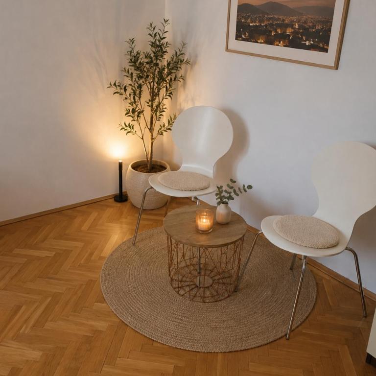2 ViN Apartments Sarajevo with Free Parking - Apartman sa 2 Spavaće Sobe - 1
