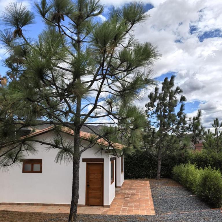 Entrepinos Villa Alegría - Suite Deluxe con cama extragrande - 25