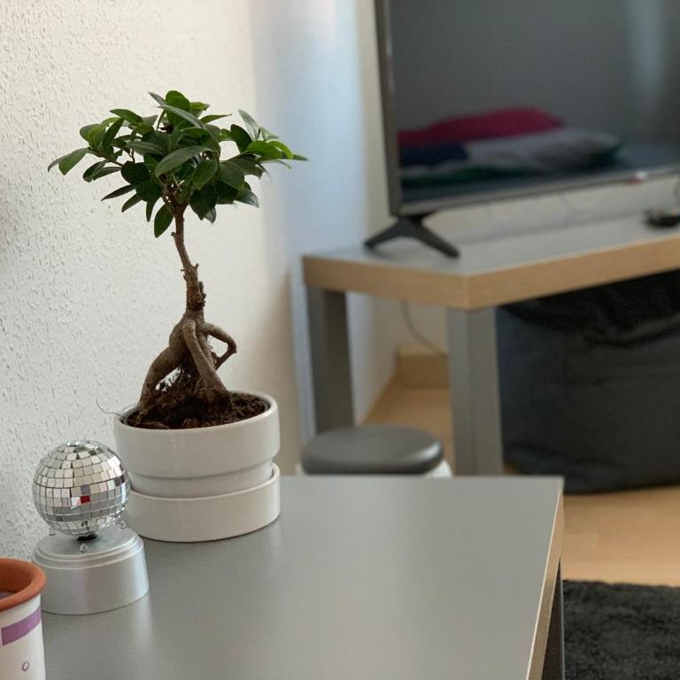 Ferienwohnung nahe Innenstadt - Apartment mit 3 Schlafzimmern - 9
