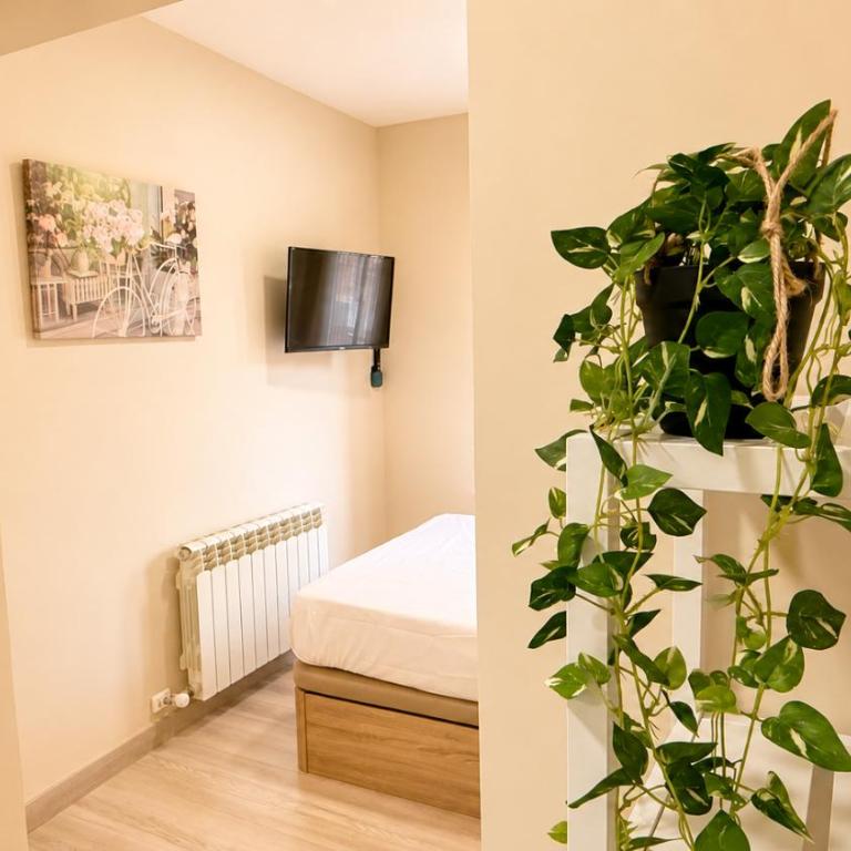Nuevo Apartamento junto a la Catedral by DomusHome - Two-Bedroom Apartment - 11